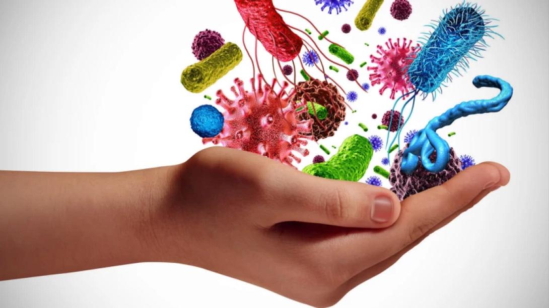 ανοσοποιητικο 