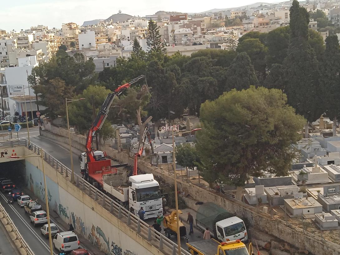 ΚΟΠΗ ΔΕΝΤΡΩΝ ΝΕΚΡΟΤΑΦΕΙΟ ΑΓΙΟΥ ΚΩΝΣΤΑΝΤΙΝΟΥ
