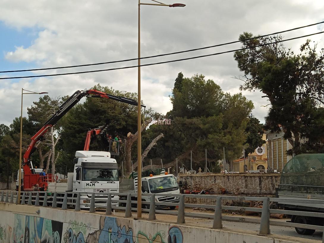 ΚΟΠΗ ΔΕΝΤΡΩΝ ΝΕΚΡΟΤΑΦΕΙΟ ΑΓΙΟΥ ΚΩΝΣΤΑΝΤΙΝΟΥ