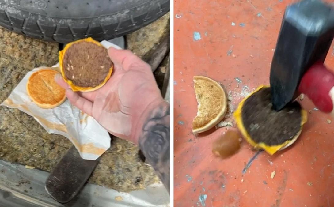 χαμπουργκερ