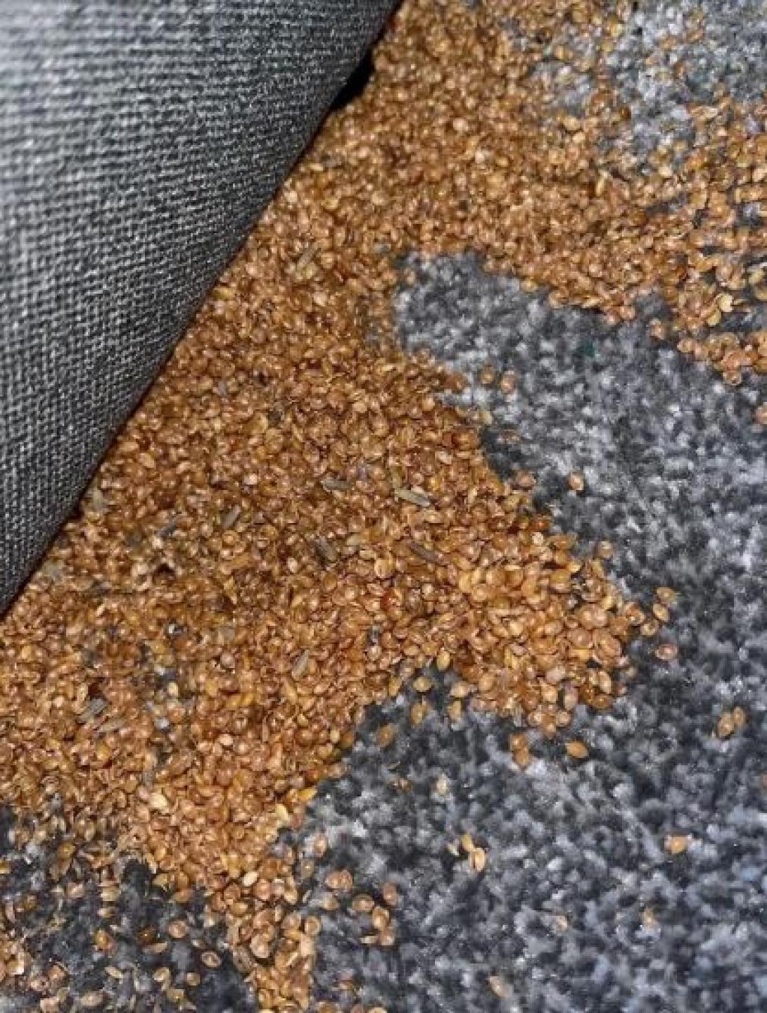 ευρημα σε παιδικό δωμάτιο