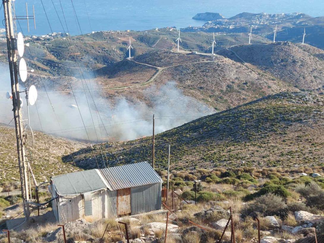 φωτιά βασιλικός