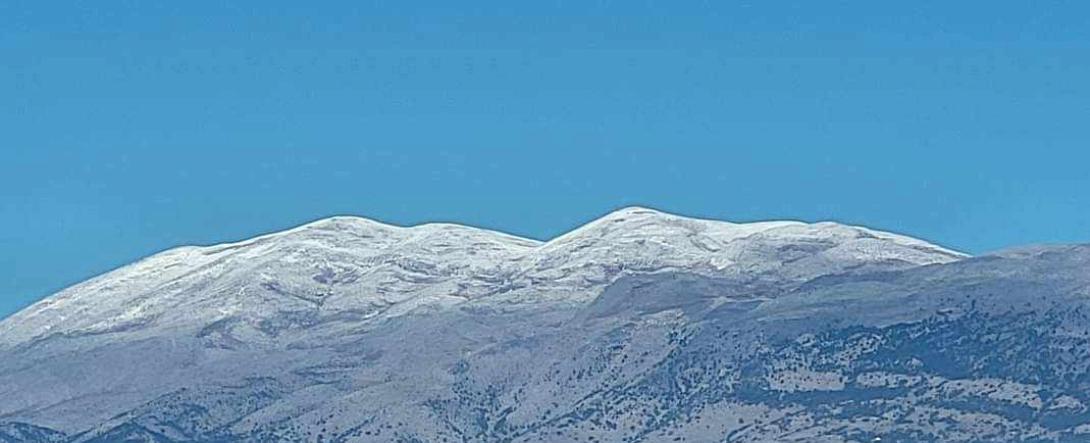 ψηλορείτης