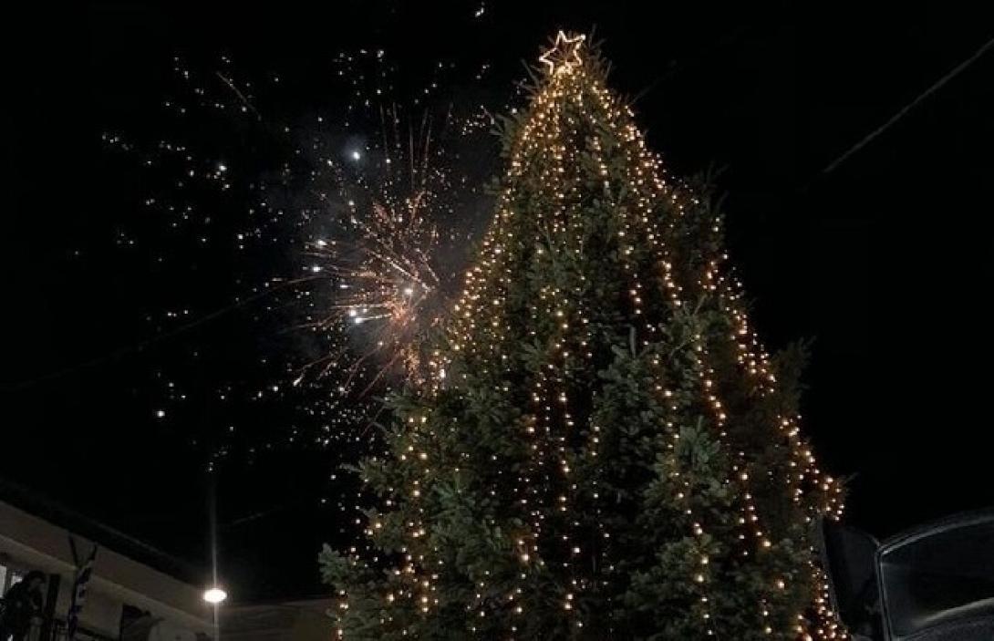 Χριστουγεννιατικο δέντρο Χαλκιδική