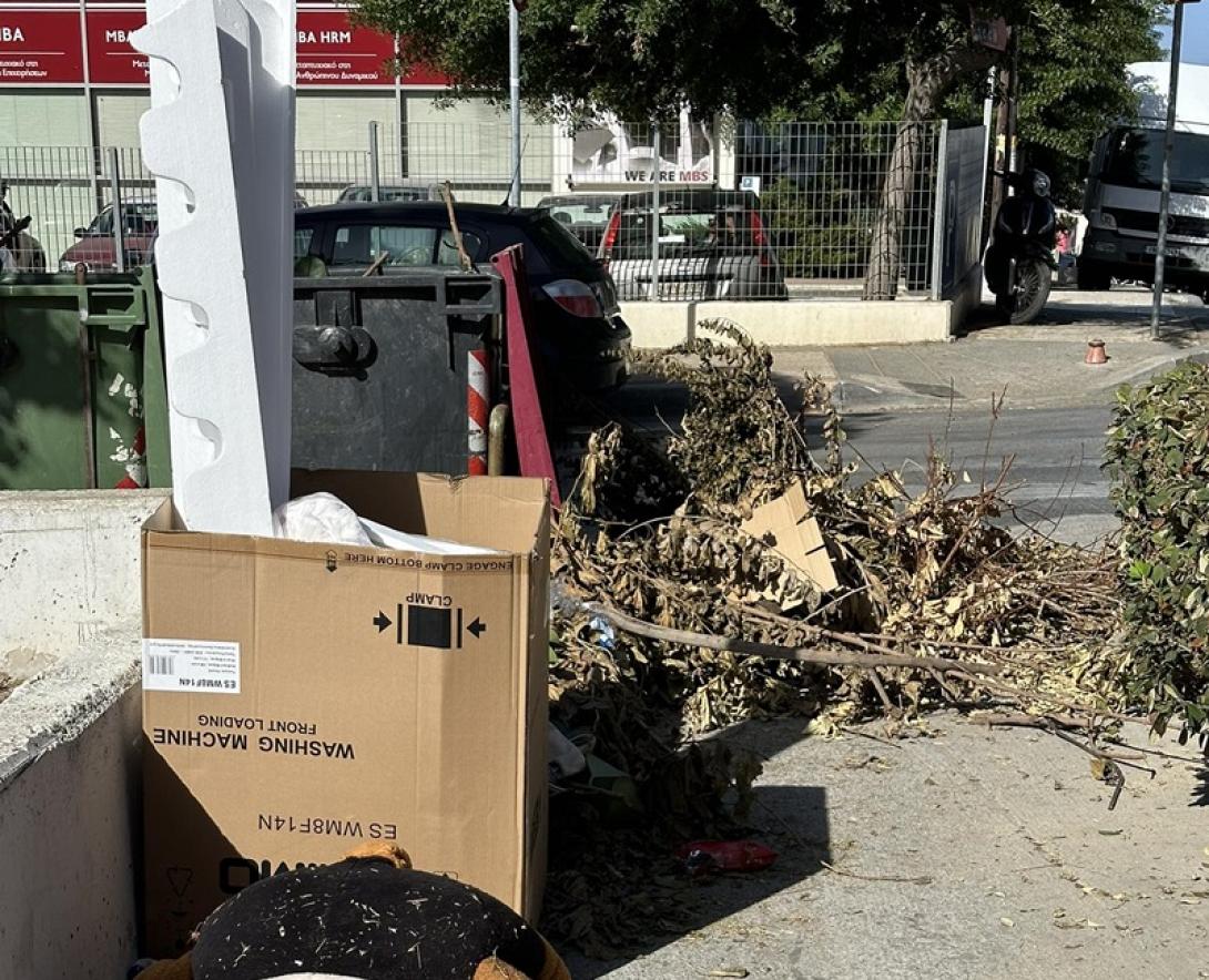 Κλαδιά δέντρου