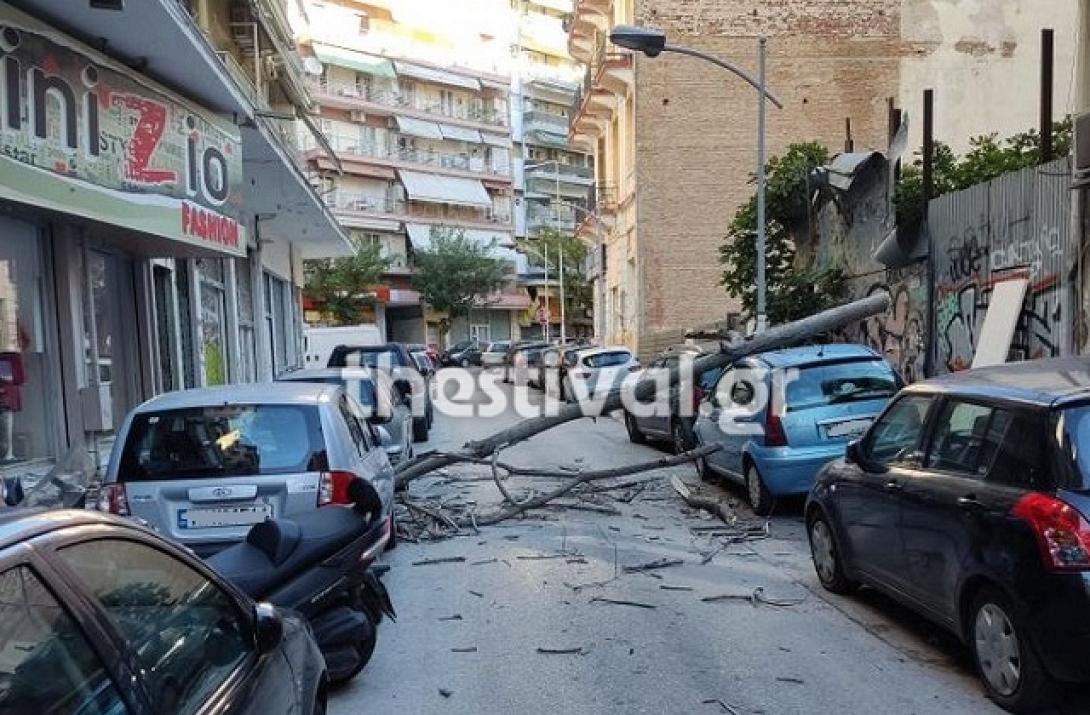 Πτώσεις δένδρων Θεσσαλονίκη 2
