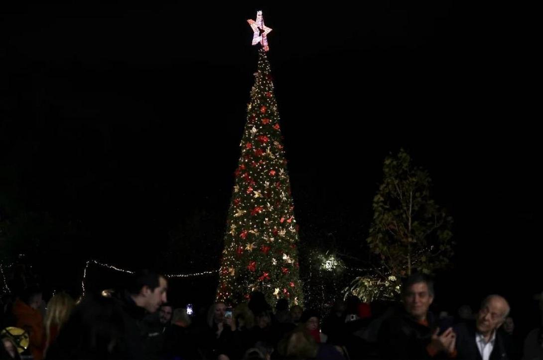 φωταγώγηση δέντρου 