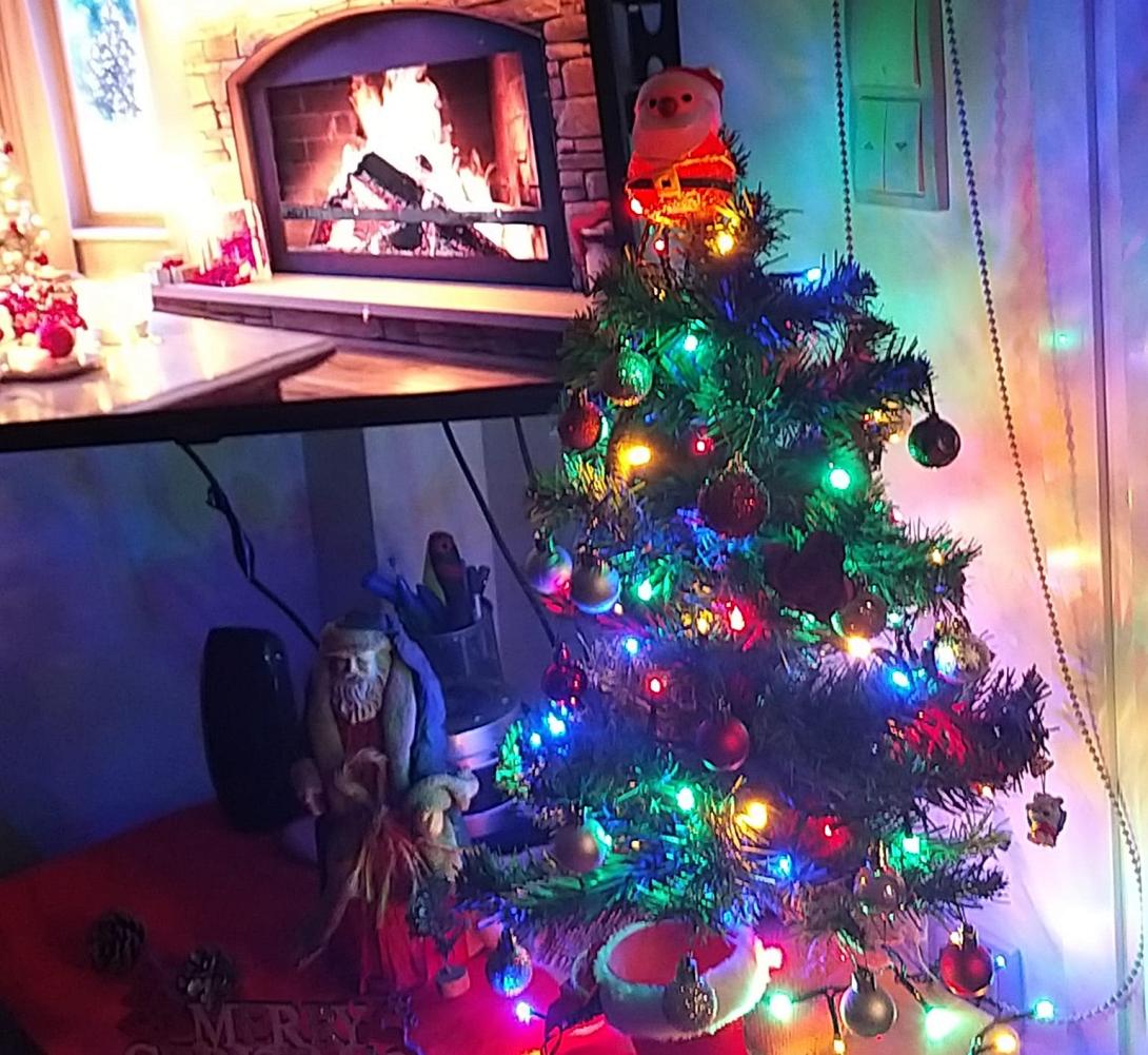 χριστουγεννιατικο δενδρο