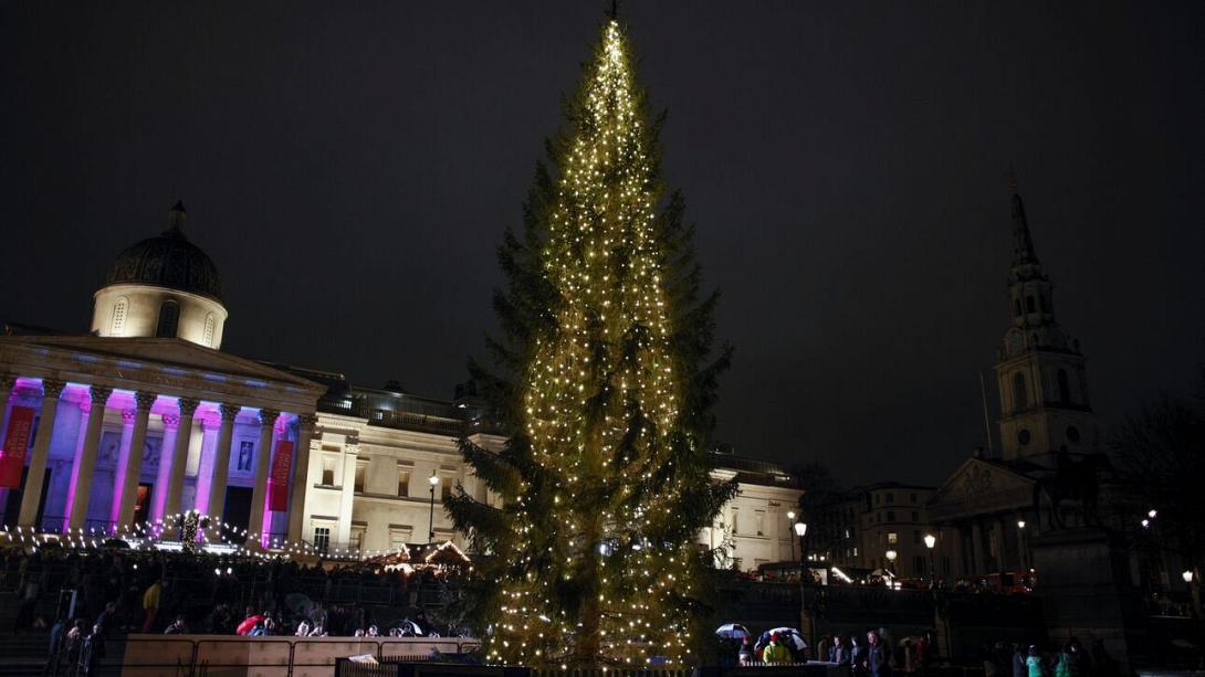 χριστουγεννιατικο δεντρο