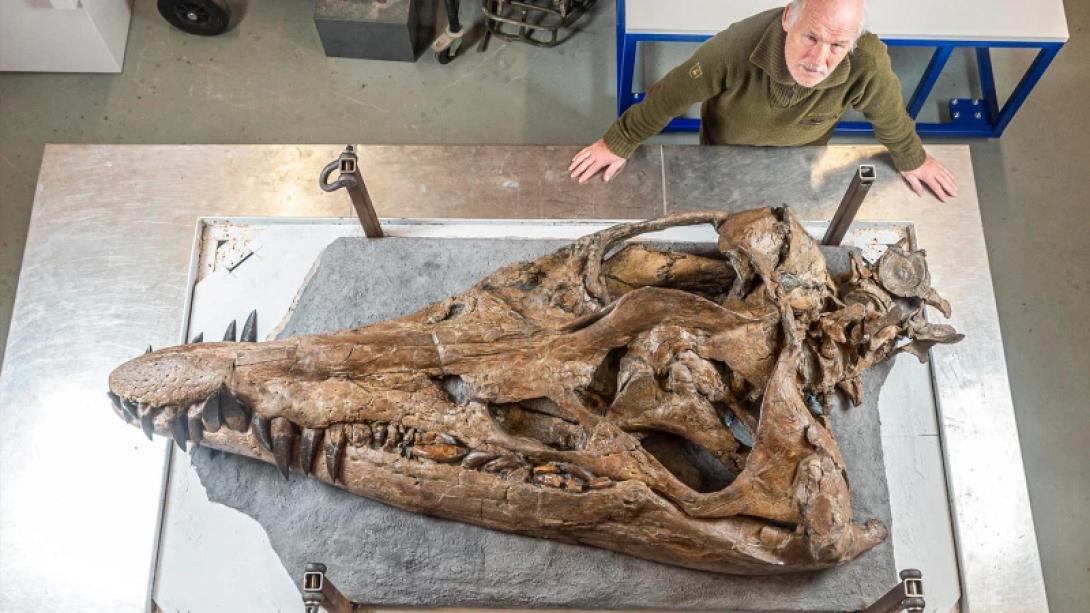 πλειοσαυρος