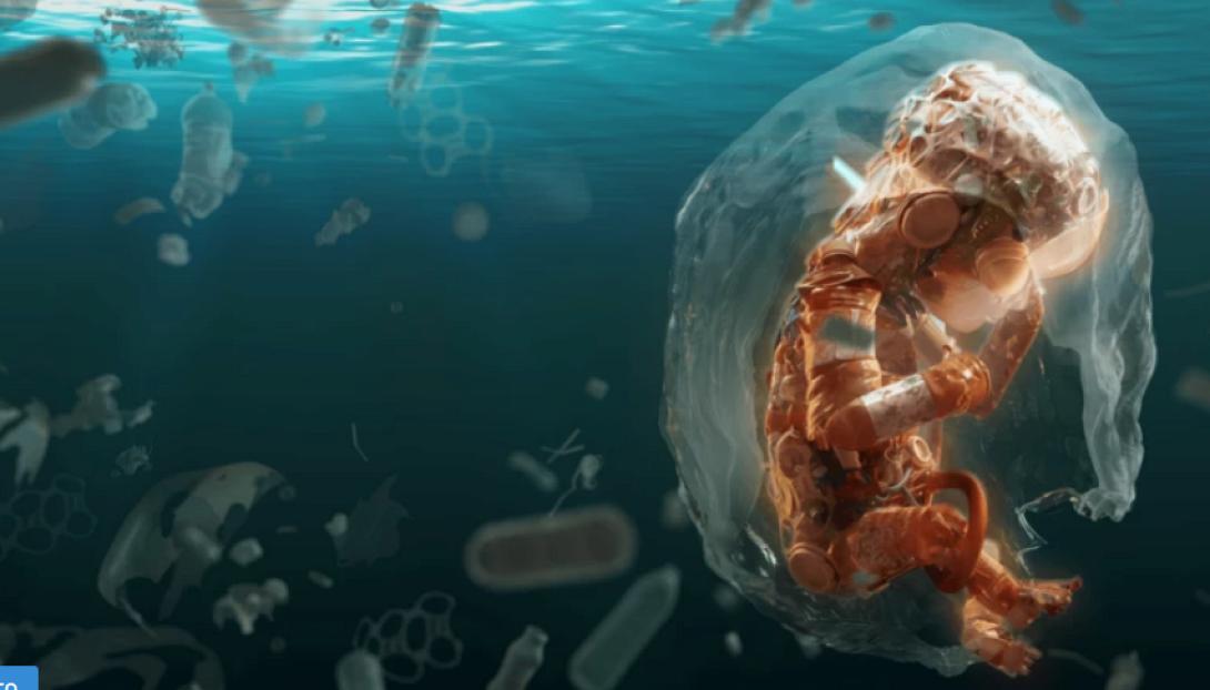 ΕΓΚΥΜΟΣΥΝΗ ΠΛΑΚΟΥΝΤΑΣ