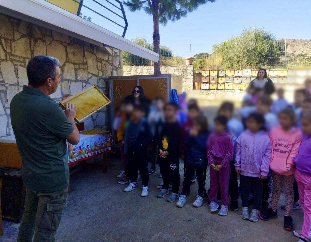 ΣΧΟΛΕΙΟ ΒΟΥΤΩΝ