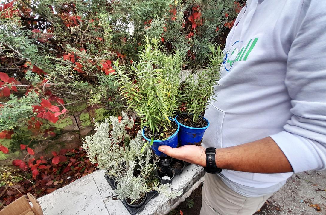 Τράπεζα Χανίων