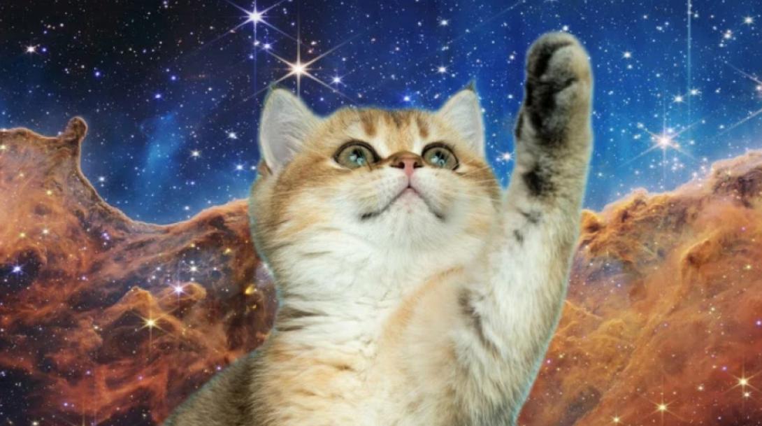 γατα στο διάστημα