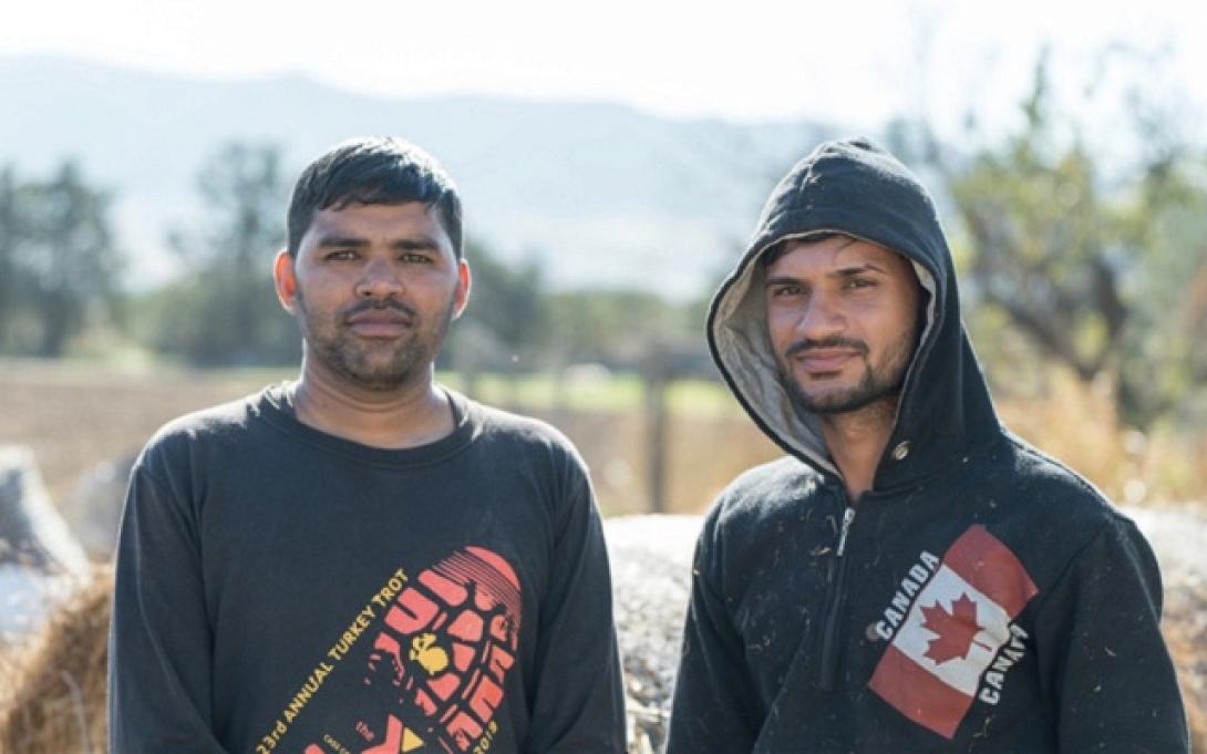 Ινδοί αγρότες Χαλκιδική