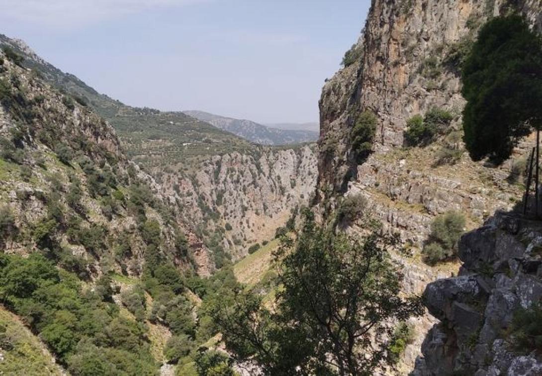 φαραγγι ροζας