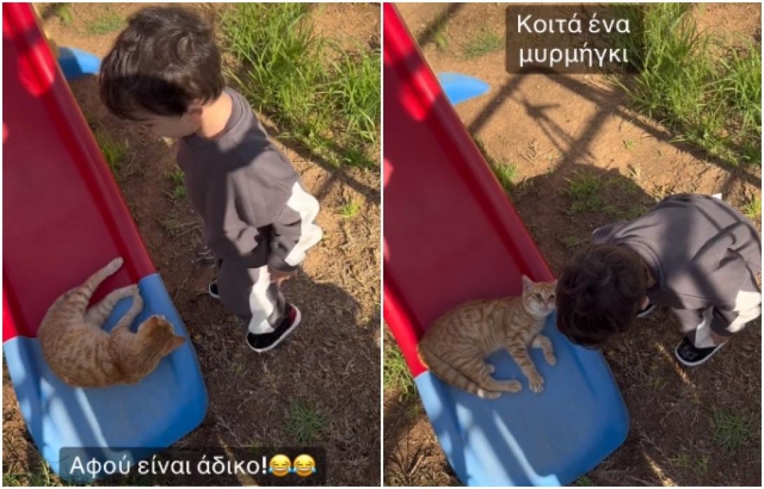 παιδί γάτα τσουλήθρα