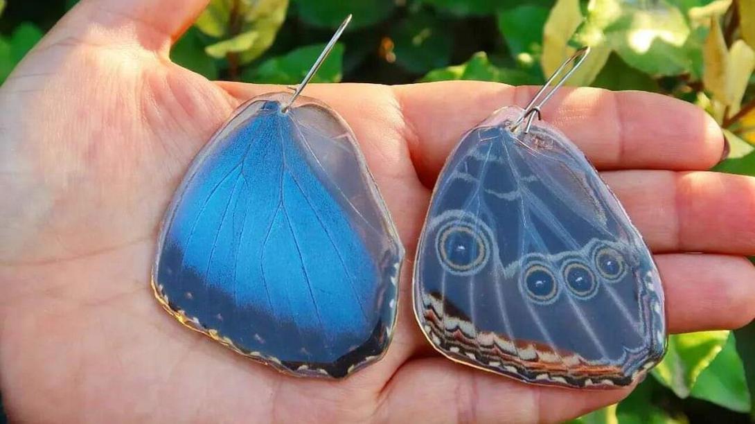 πεταλουδες