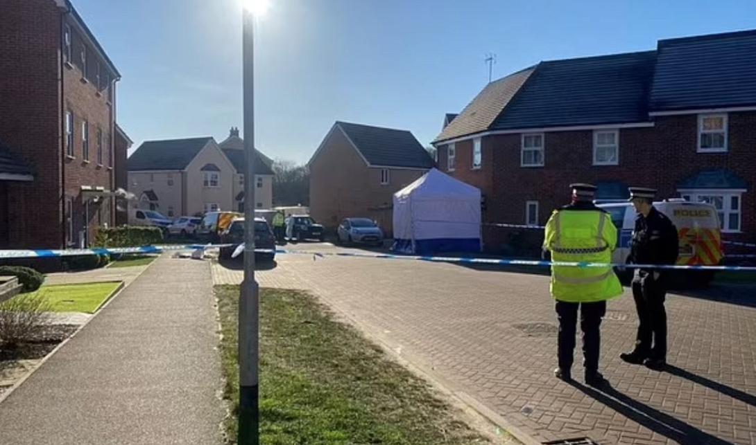 Ο δήμαρχος Gary Blundell, σύμβουλος των Φιλελευθέρων Δημοκρατών για την περιοχή, είπε στο MailOnline ότι ολόκληρη η κοινότητα ήταν σε «σοκ».