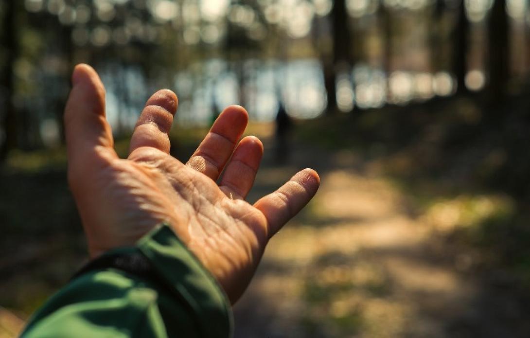 χειρονομία