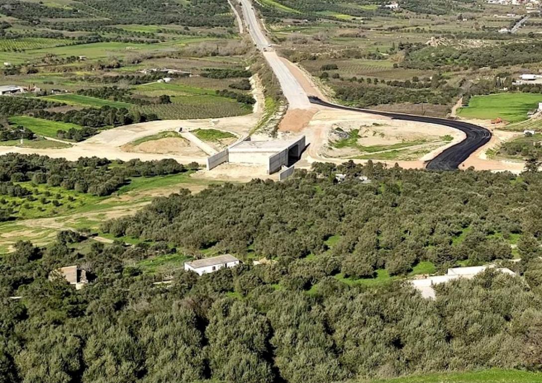 απαλοτριώσεις