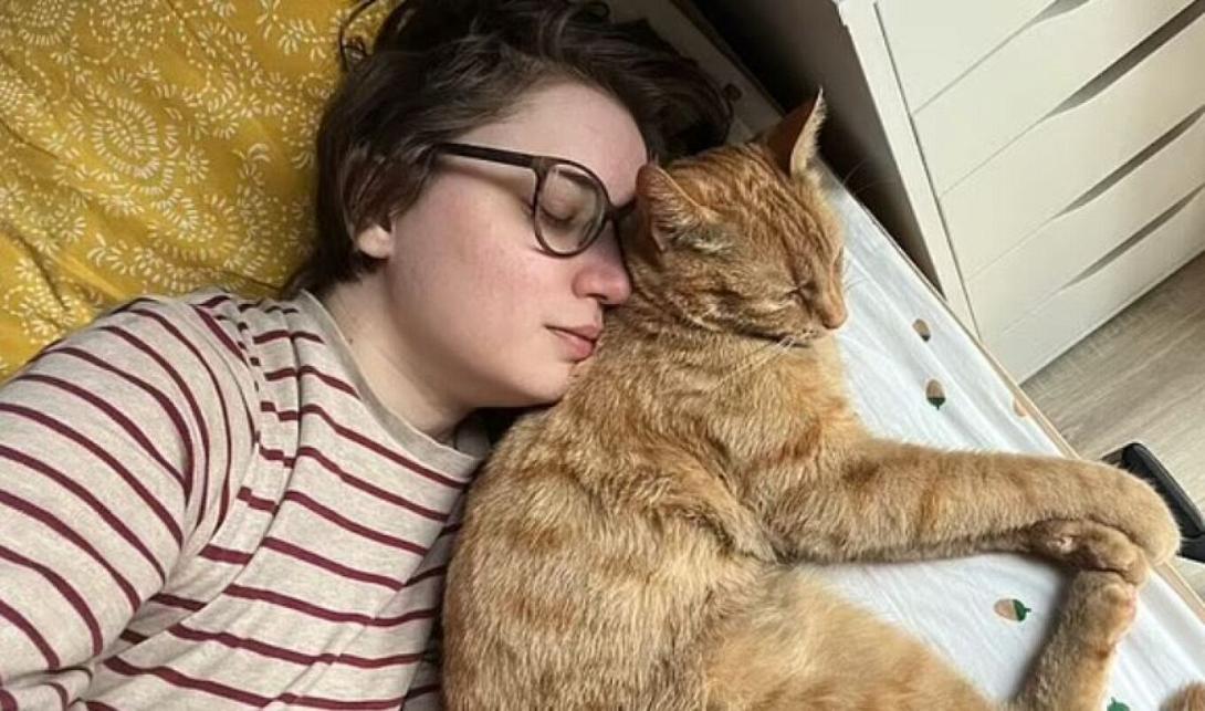 Ολλανδία - ευθανασία