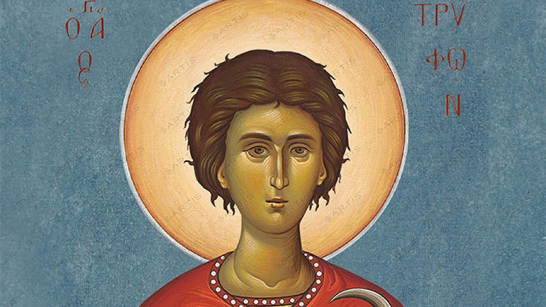 αγιος τρυφων