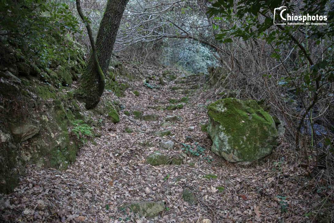 φαραγγι καμπιων