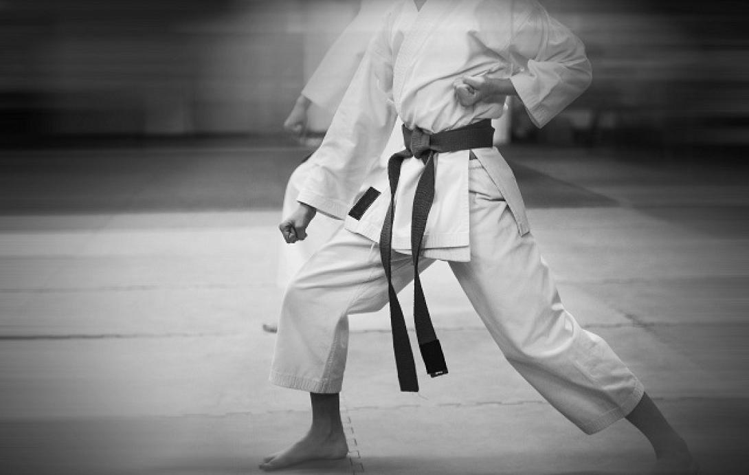 καράτε δάσκαλος 1