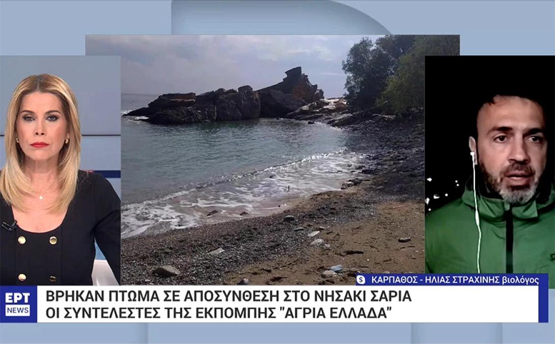 σαρια