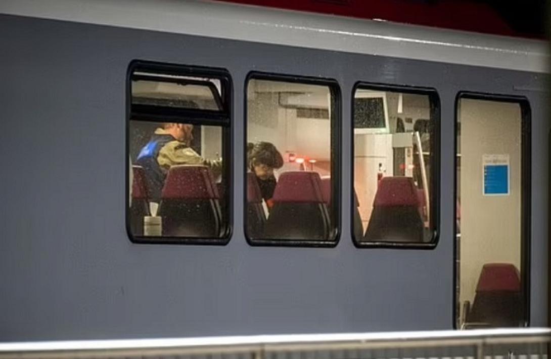 τρένο ελβετία