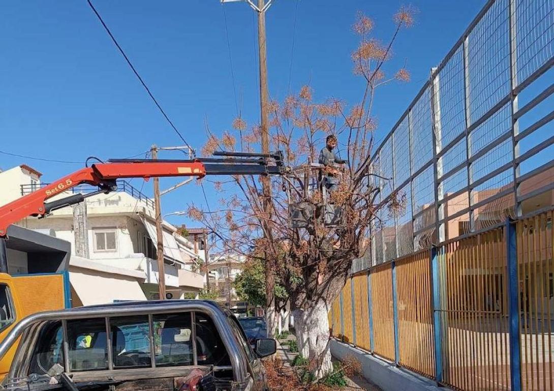 εργασίες πρασίνου