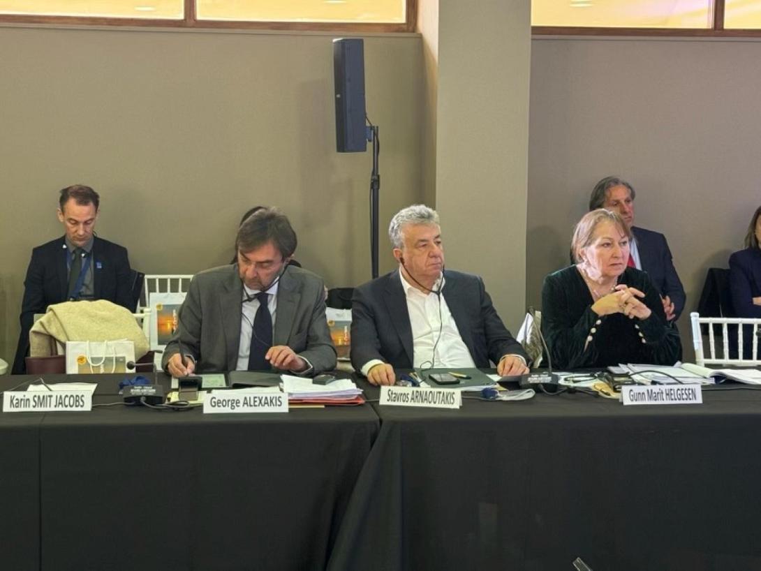 ΑΡΝΑΟΥΤΑΚΗΣ Ελίζα Φερέιρα