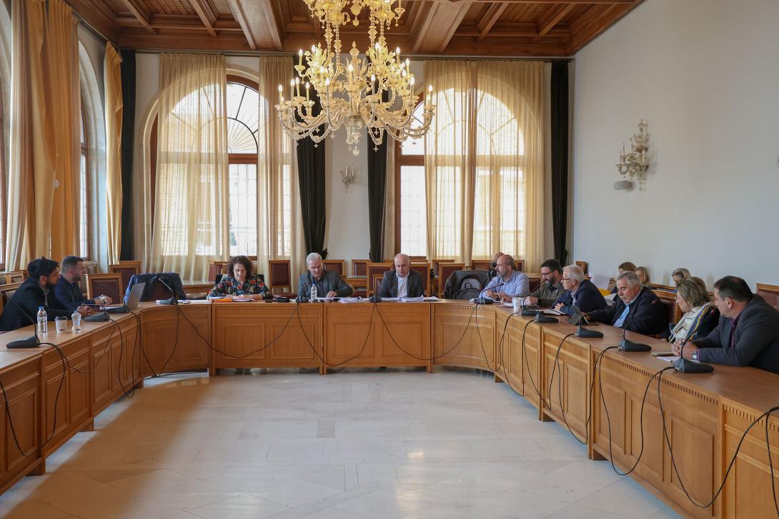 ΔΗΜΟΤΙΚΗ ΕΠΙΤΡΟΠΗ 