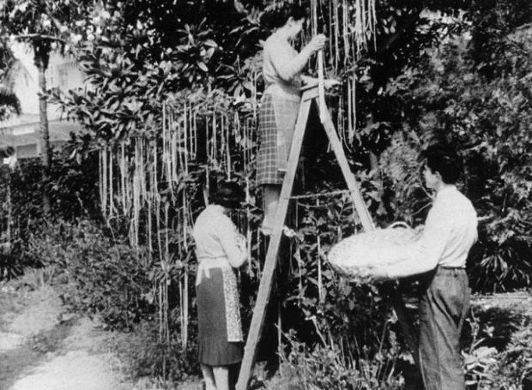 πρωταπριλιατικο bbc