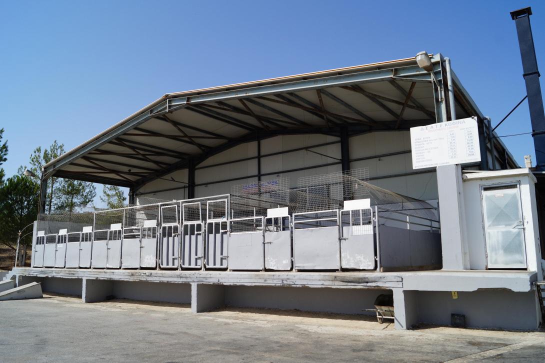 σφαγεια ασημιου