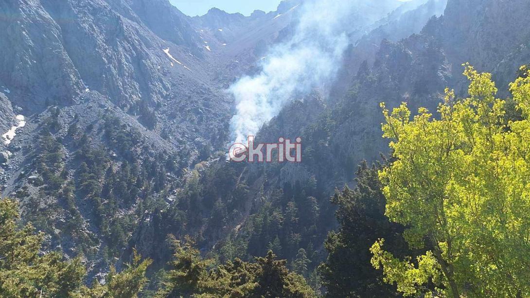 φωτιά - Χανιά 