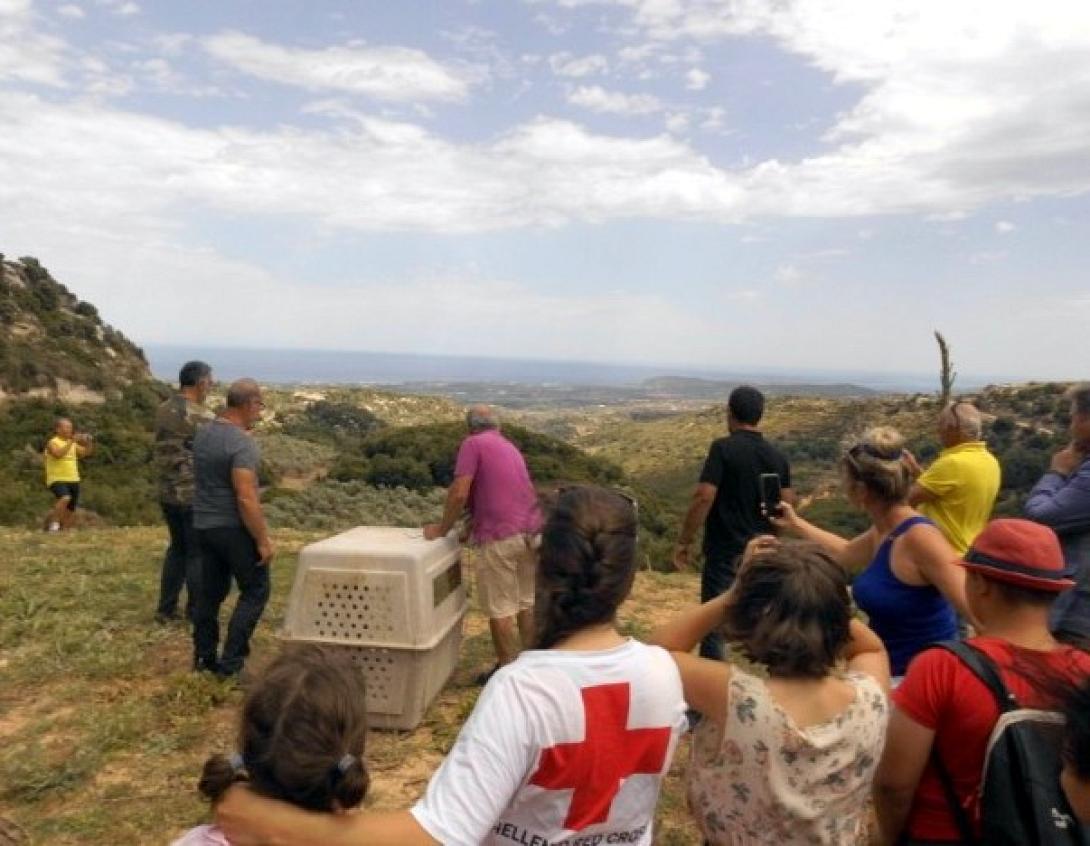 εξόρμηση - Μουσικό σχολείο 