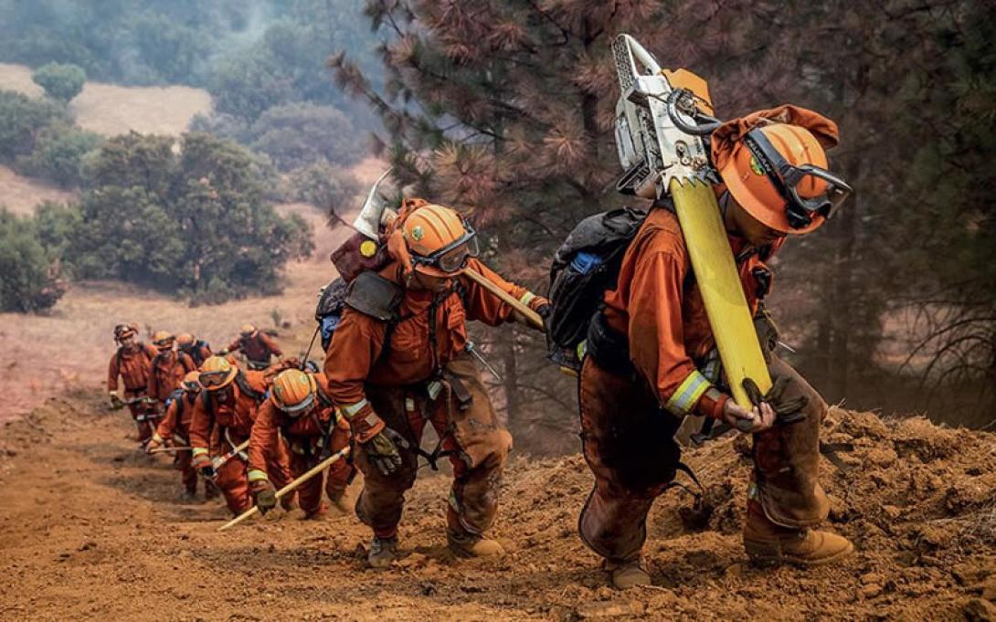 δασοκομάντος