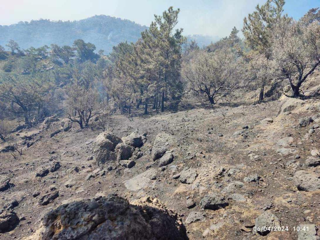 φωτιά στην Ιεράπετρα
