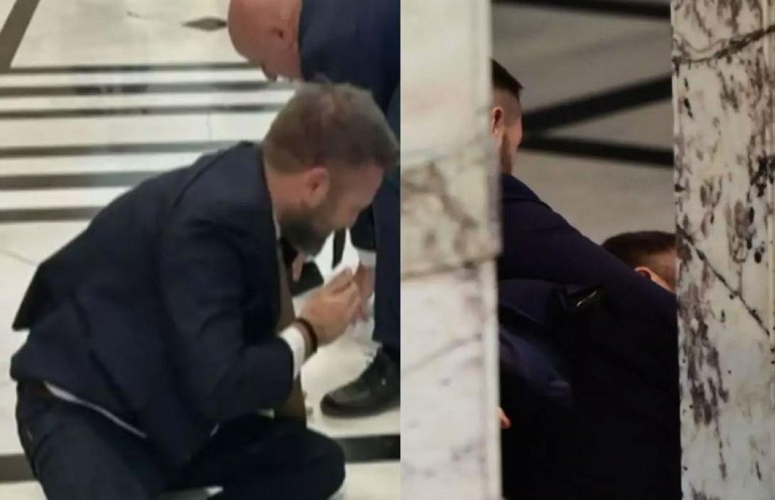 ΓΡΑΜΜΕΝΟΣ ΦΛΩΡΟΣ