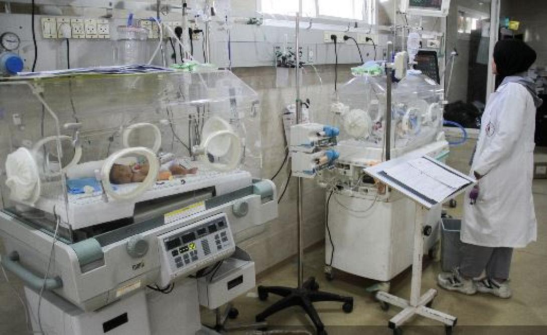 ΚΟΡΙΤΣΑΚΙ ΡΑΦΑ