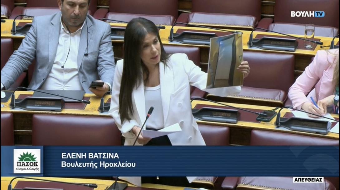 βατσινα βουλη