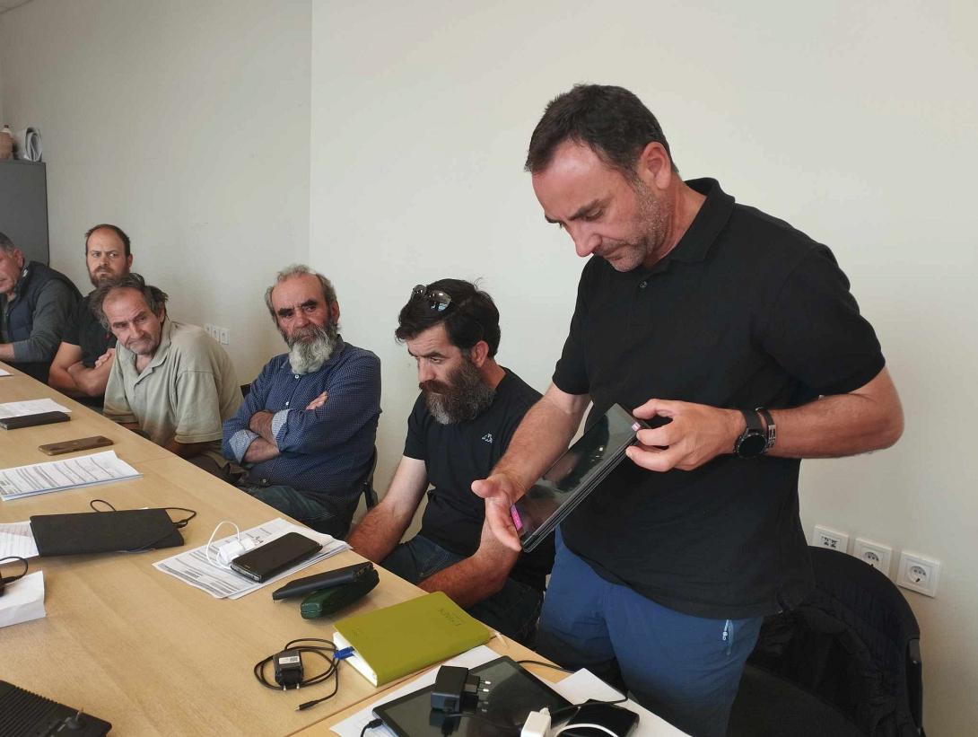 δήμος μινώα πεδιάδας