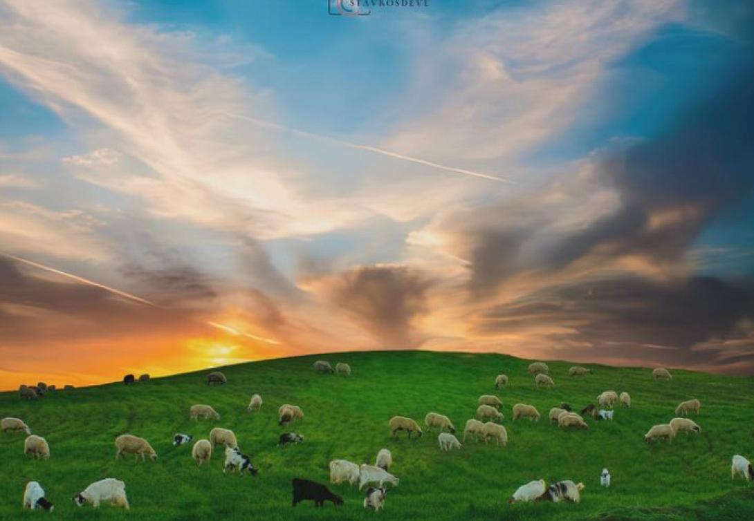 αστερούσια όρη