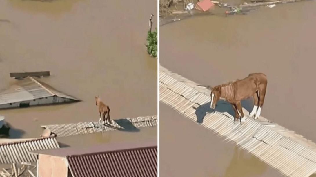 βραζιλια πλημμυρες