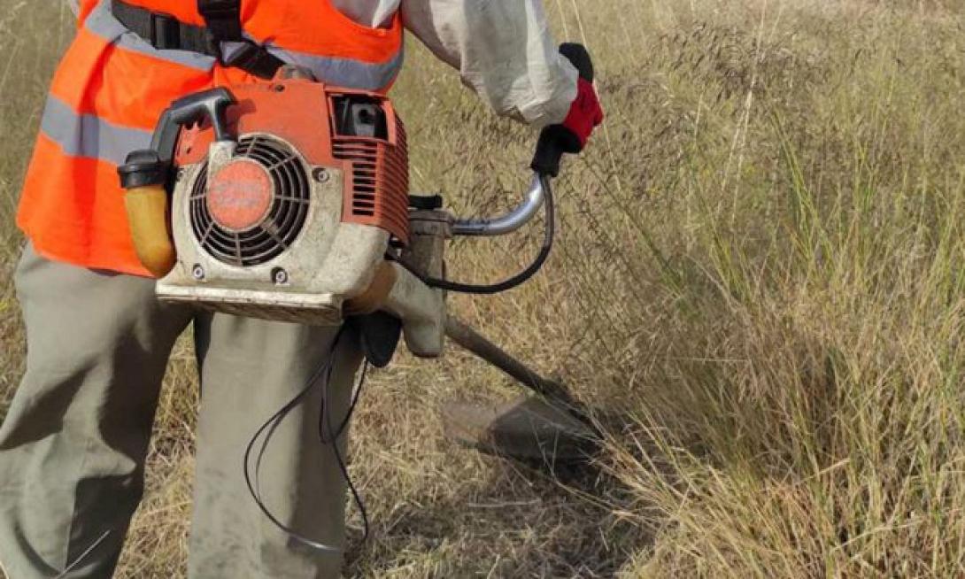 καθαρισμός οικοπέδων