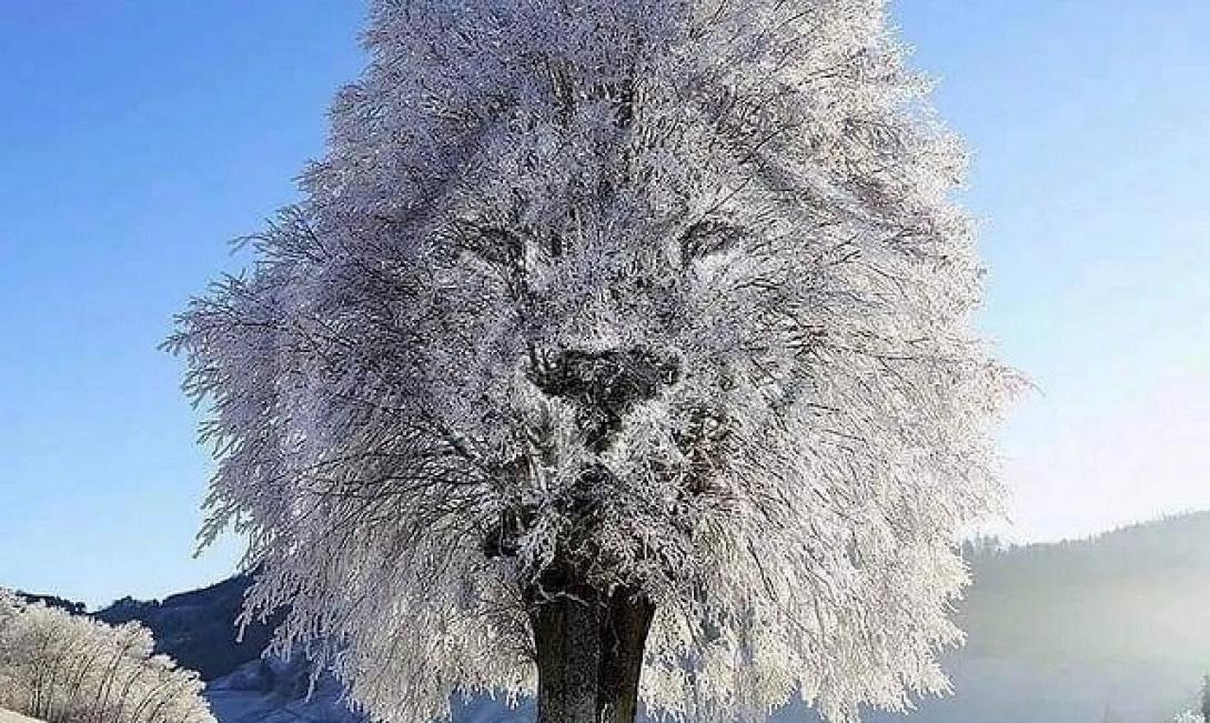 οπτική ψευδαίσθηση 1