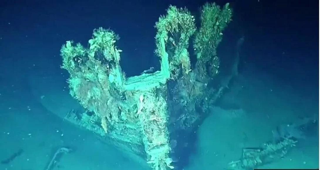 γαλερα κολομβια