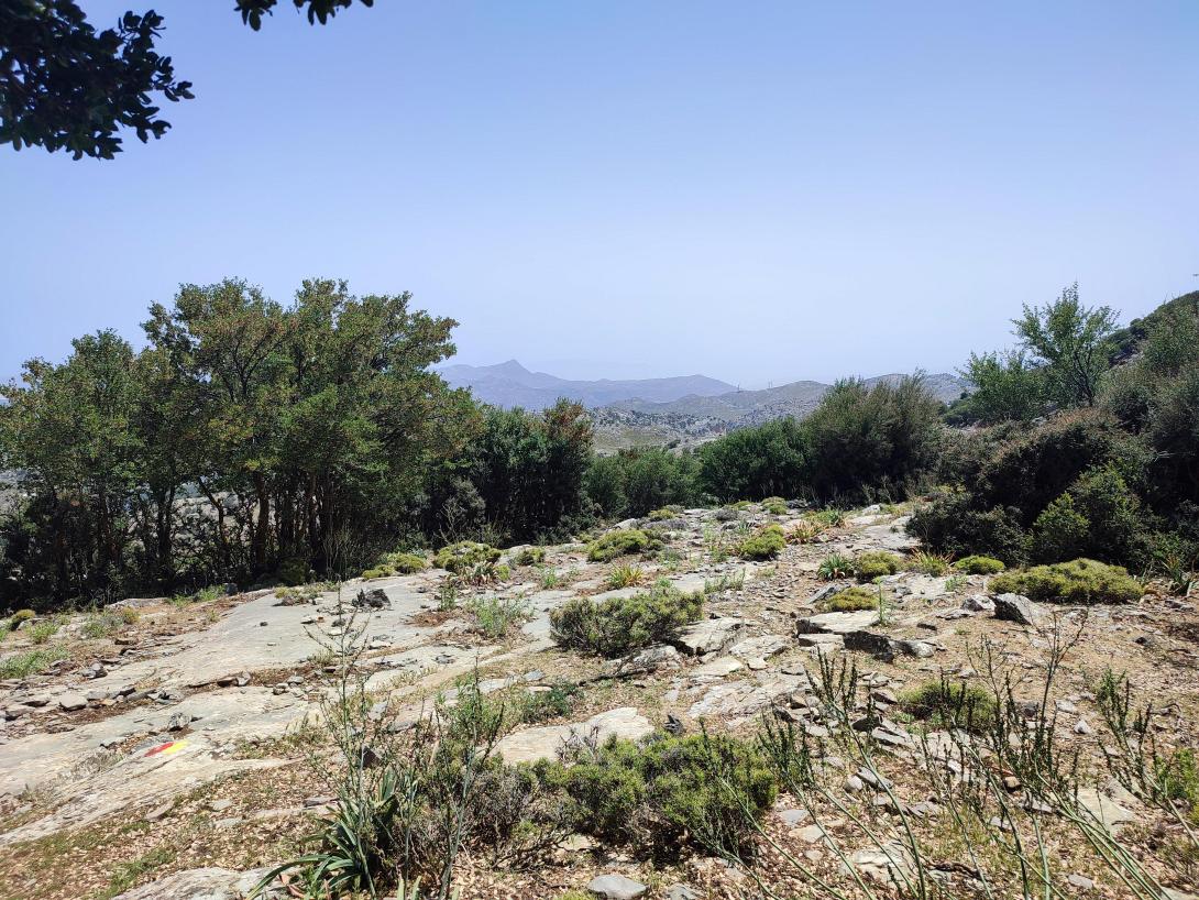 γεωτεε ψηλορείτης